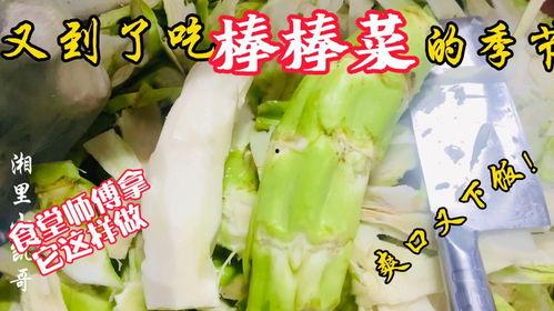 潮安教师吃瓜,揭秘校园背后的“瓜田”风云  第1张